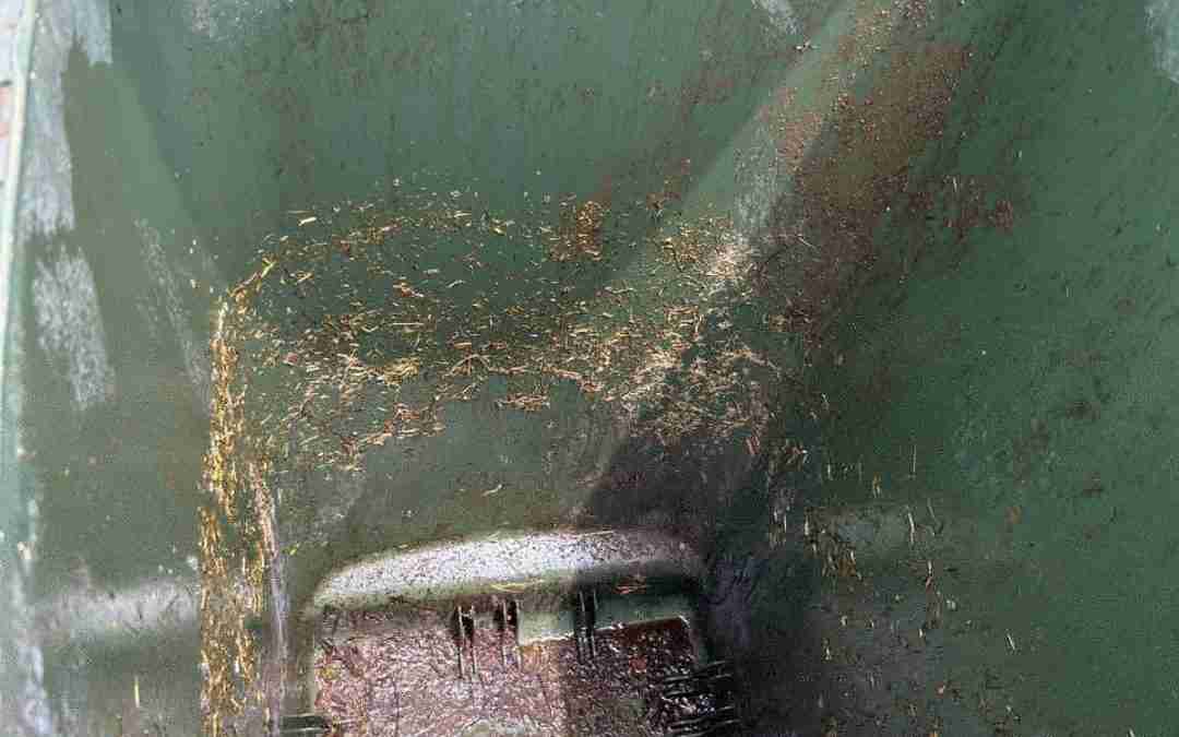 Why You Need to Know How Often You Should Clean Your Bins!