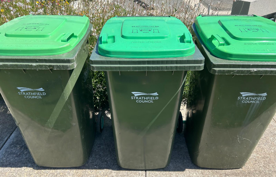 FOGO bin cleaning